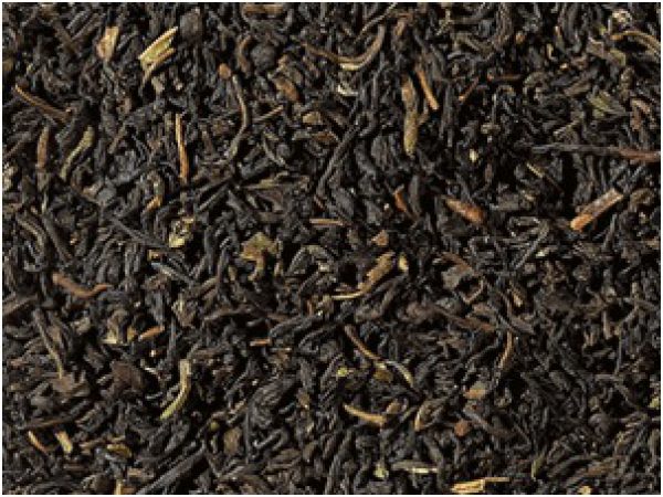 Nilgiri 'Thiashola'