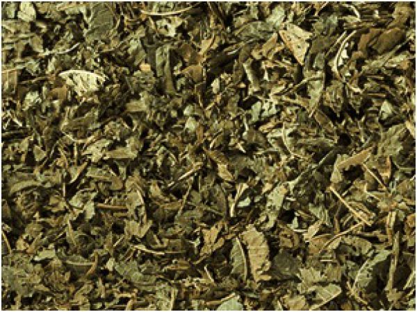 Verveine