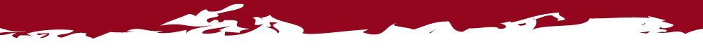 decoration_line_bottom_red_mobile