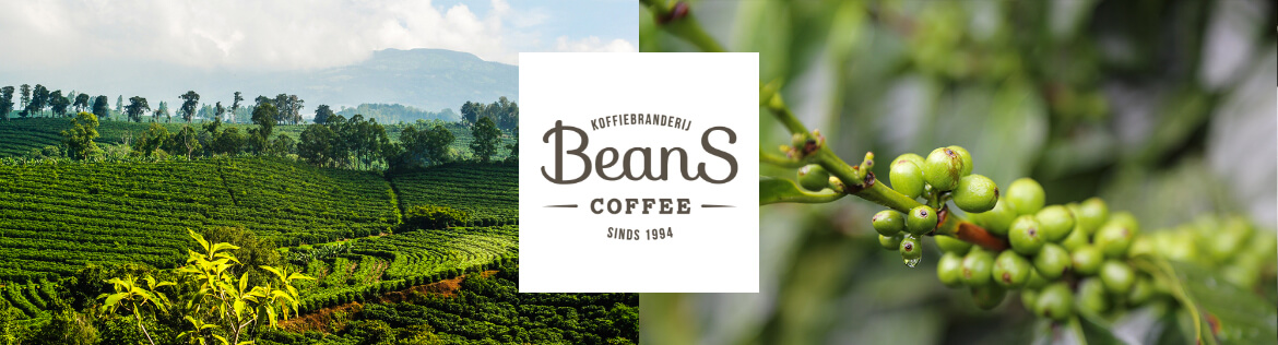 beans-coffee-image beans-coffee-image